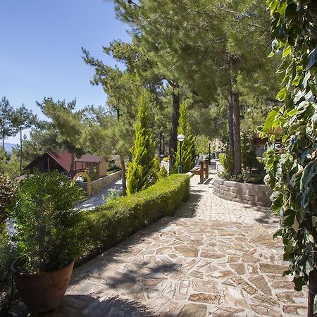 Ricky Chalet Near Troodos Spilia Екстер'єр фото