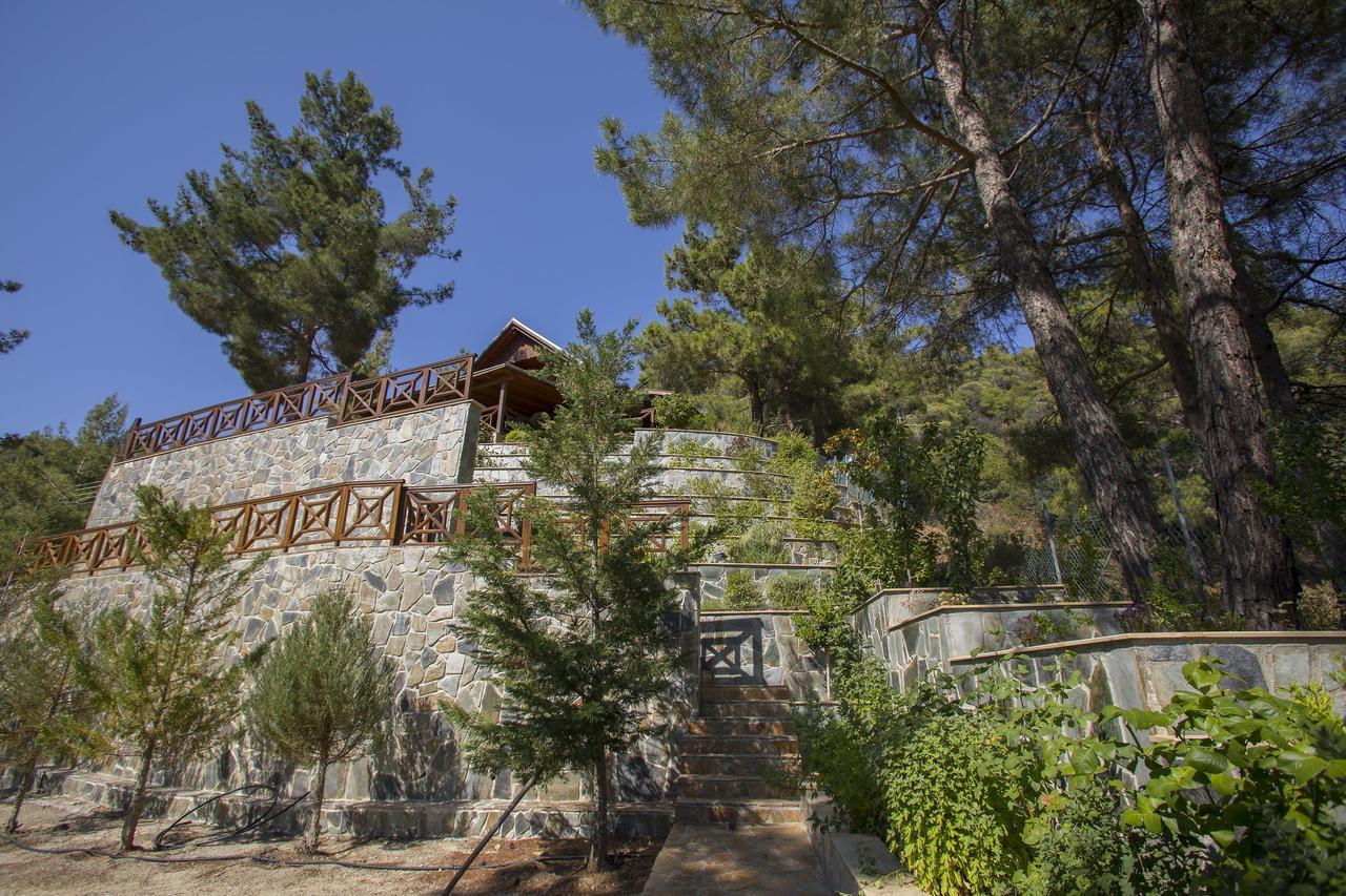 Ricky Chalet Near Troodos Spilia Екстер'єр фото