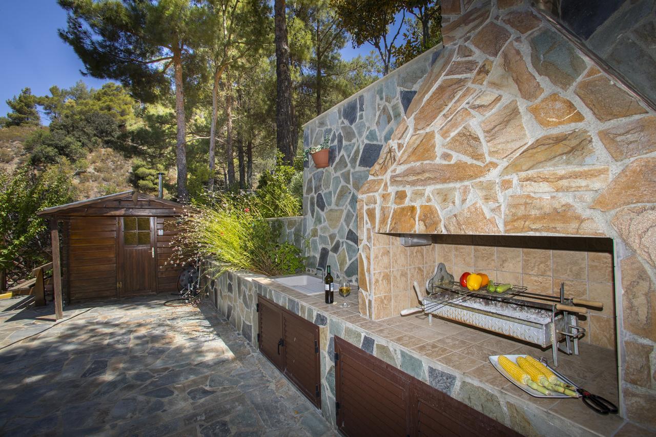 Ricky Chalet Near Troodos Spilia Екстер'єр фото