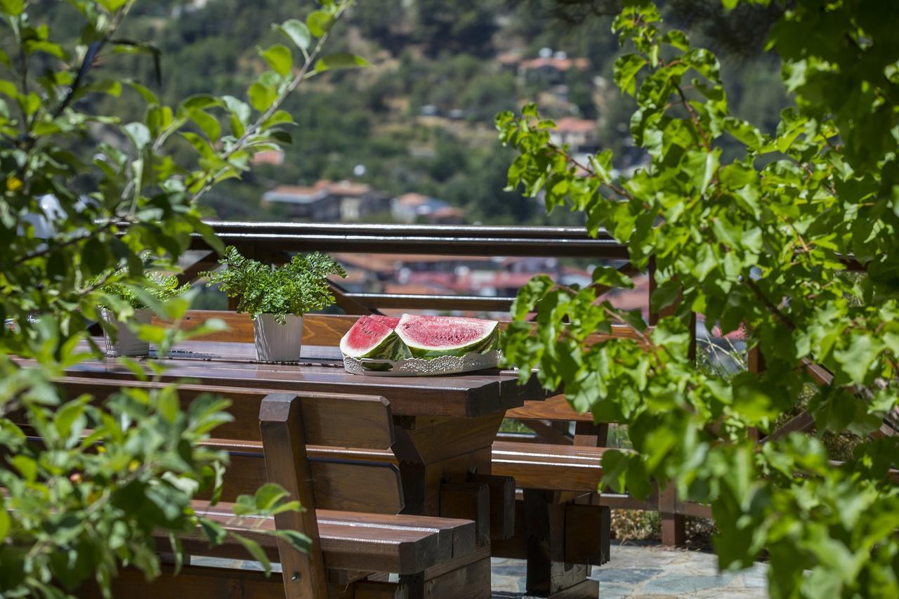 Ricky Chalet Near Troodos Spilia Екстер'єр фото
