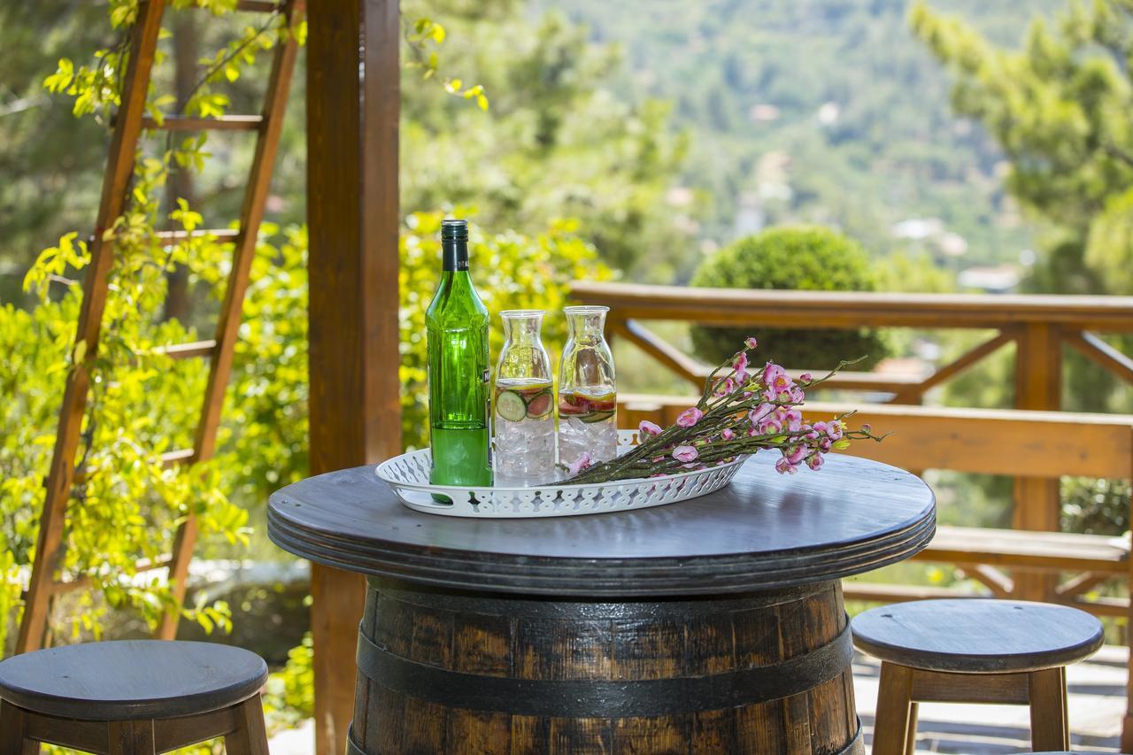 Ricky Chalet Near Troodos Spilia Екстер'єр фото