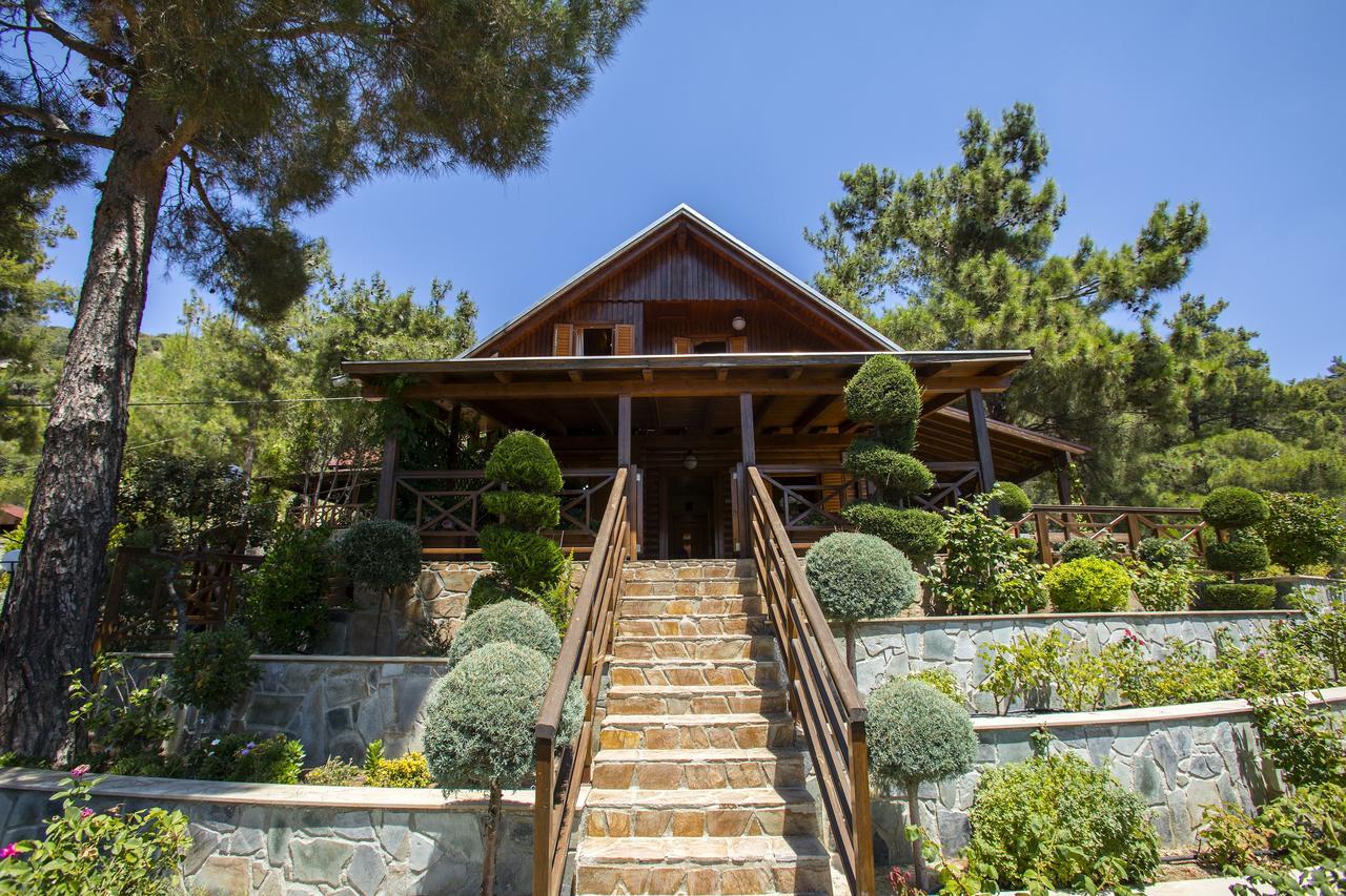 Ricky Chalet Near Troodos Spilia Екстер'єр фото