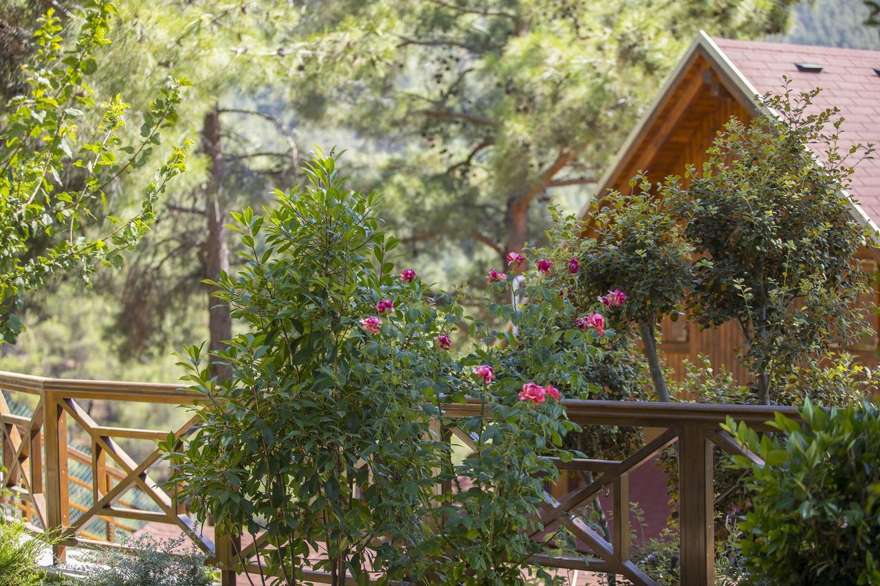 Ricky Chalet Near Troodos Spilia Екстер'єр фото