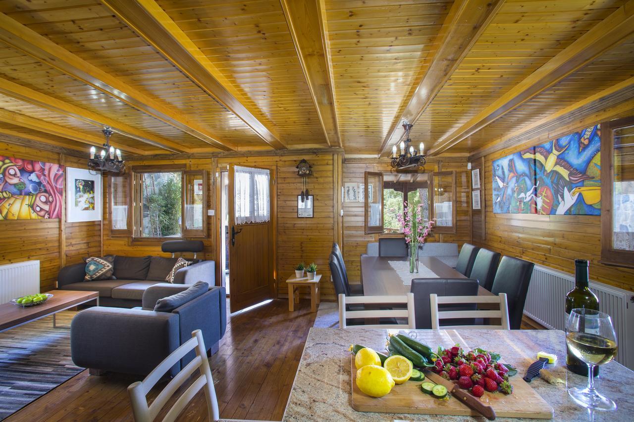 Ricky Chalet Near Troodos Spilia Екстер'єр фото