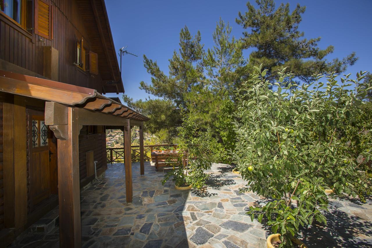 Ricky Chalet Near Troodos Spilia Екстер'єр фото