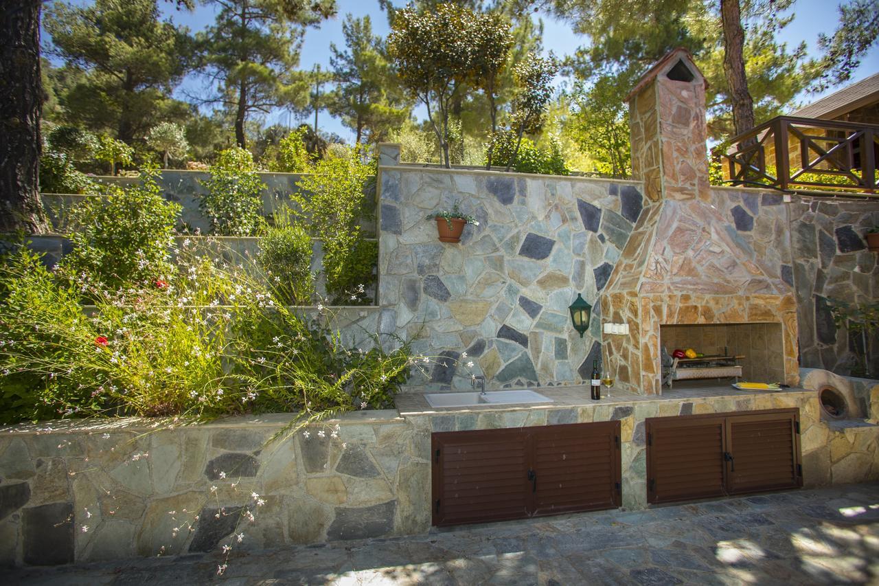 Ricky Chalet Near Troodos Spilia Екстер'єр фото